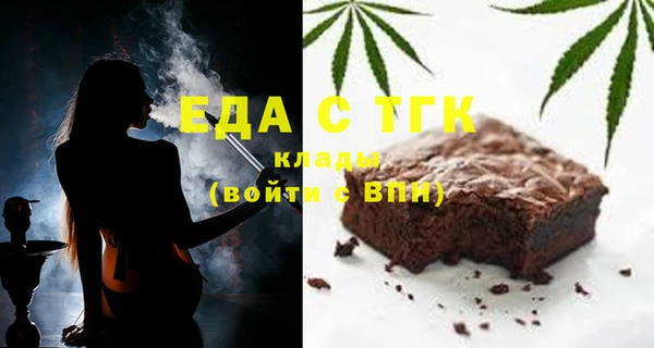 СК Новозыбков