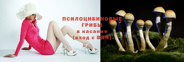 гашишное масло Новодвинск