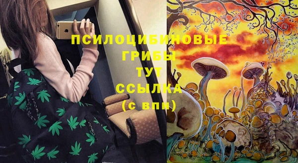 СК Новозыбков