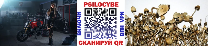 Галлюциногенные грибы Psilocybine cubensis  Рудня 